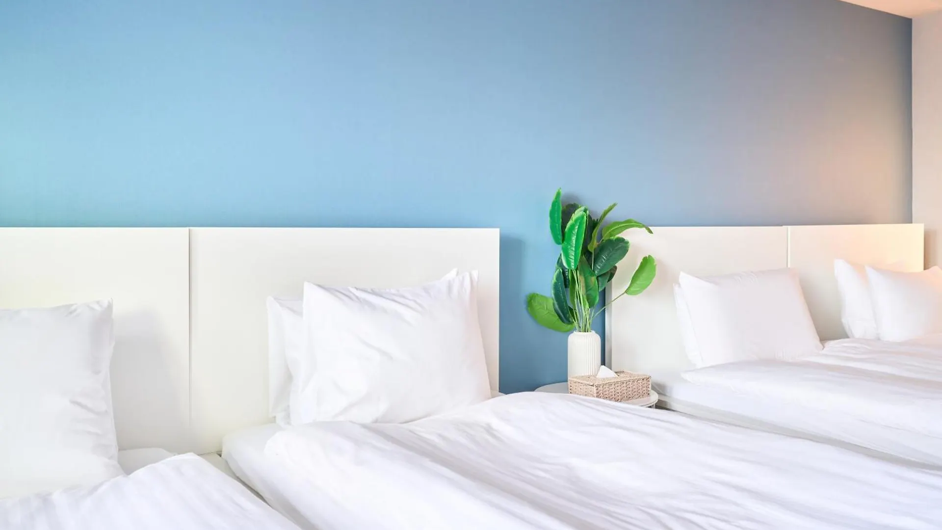 Apartamento Stay Ari Arakicho Tokio Japón